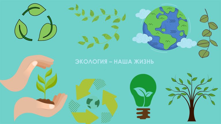 Экология – наша жизнь